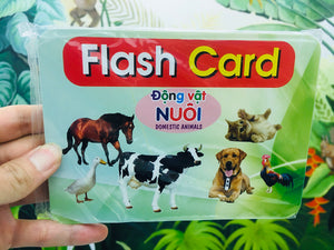 Bộ Thẻ Học Thông Minh Flashcard Song Ngữ Cho Bé