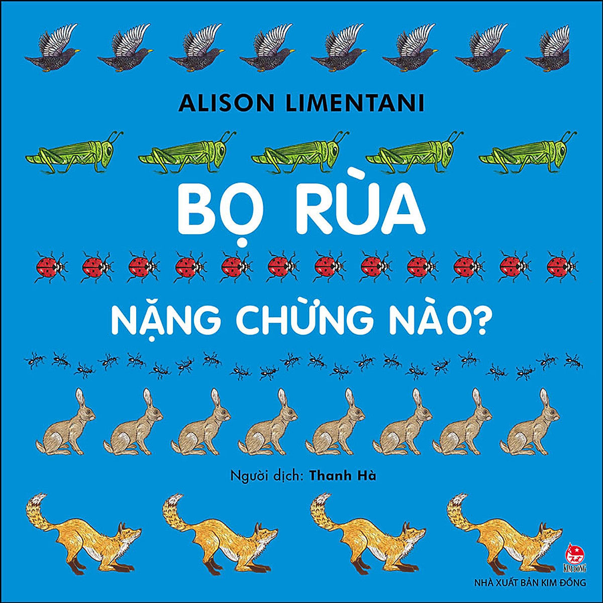 Bọ Rùa Nặng Chừng Nào?